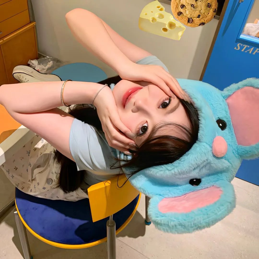 爱丽丝岛