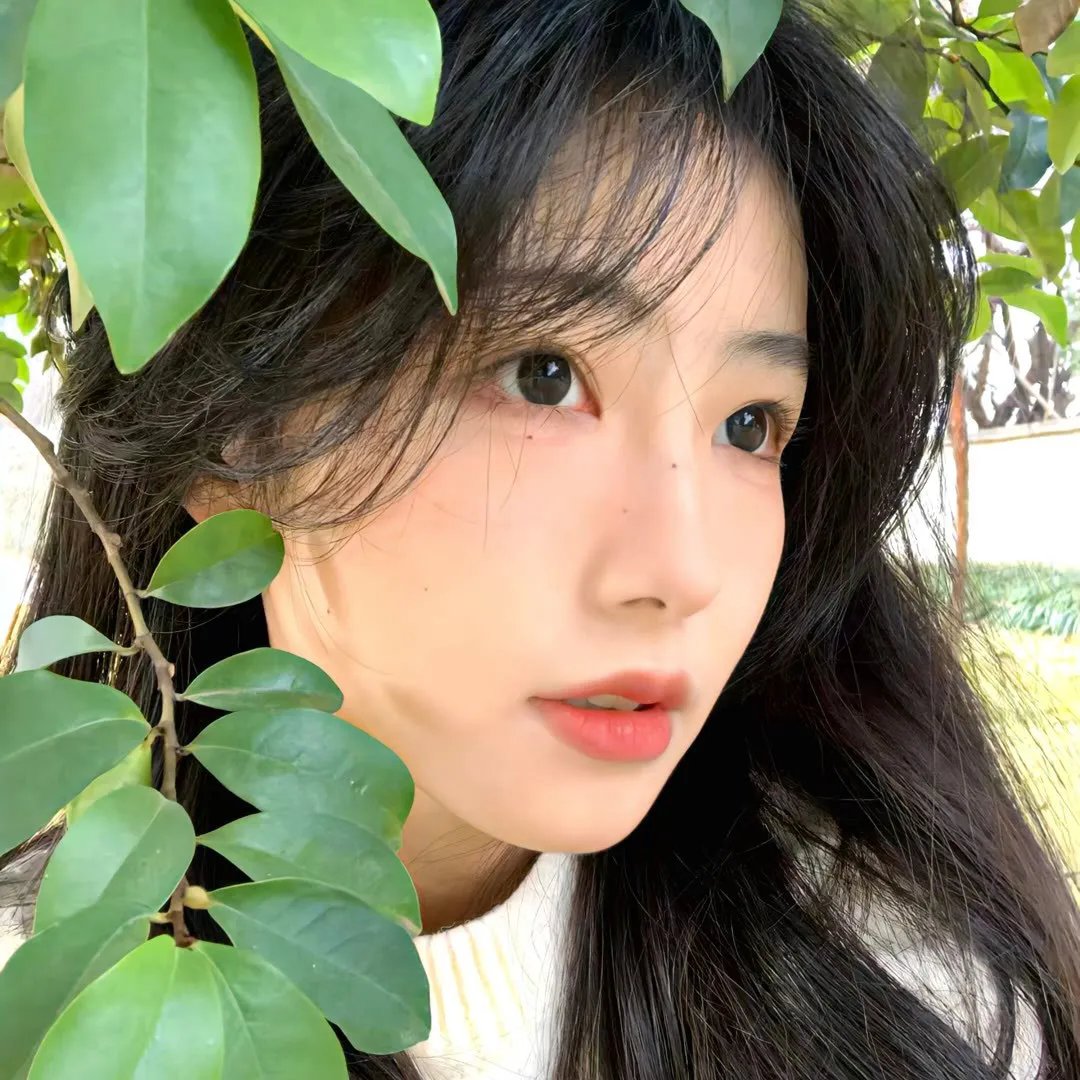 骗中骗